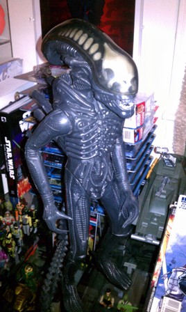 IMAG0093.jpg